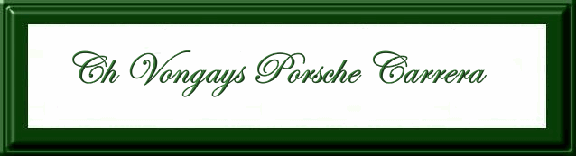Am CH Vongays Porsche Carrera- Erica
