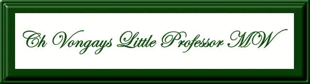 CH Vongays Little Professor MW
